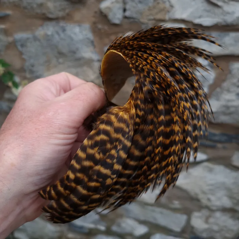 Whiting Exclusive Grizzly Hen Cape in Ginger-7